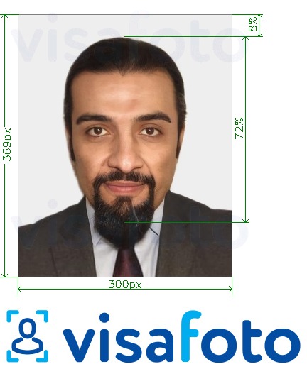阿联酋签证在线Emirates.com 300x369像素 的标准尺寸照片示例