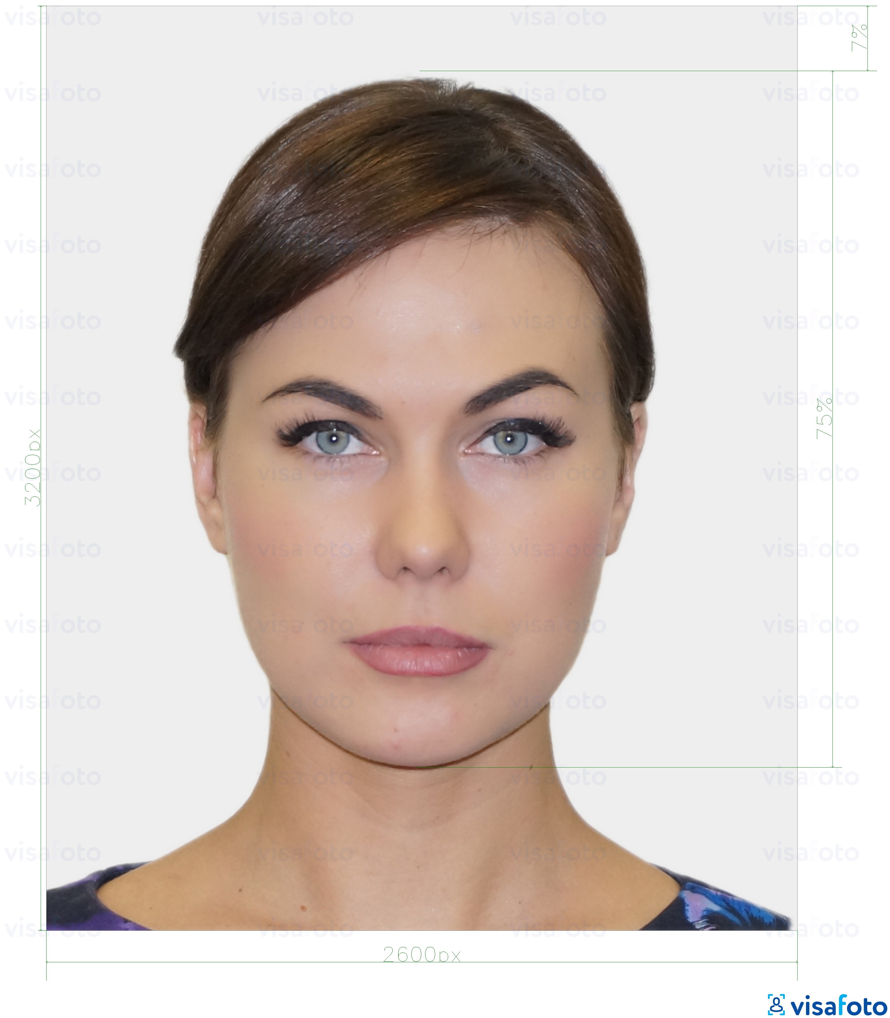 爱沙尼亚常驻数字身份证1300x1600像素 的标准尺寸照片示例