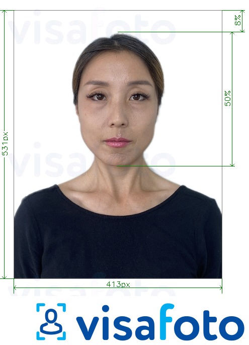 韩国护照在线 的标准尺寸照片示例