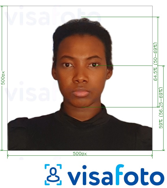 卢旺达东非旅游签证在线 的标准尺寸照片示例