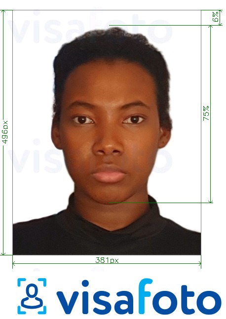 安哥拉签证在线381x496像素 的标准尺寸照片示例