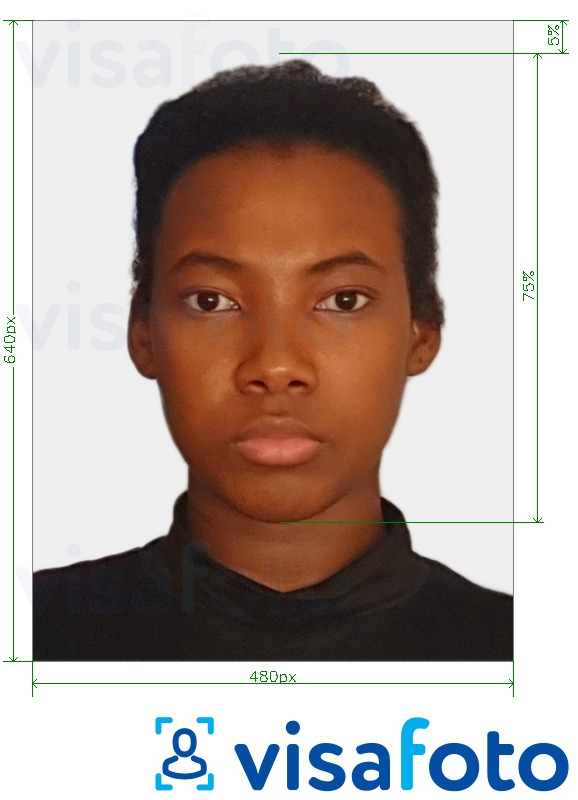 巴哈马护照480x640像素 的标准尺寸照片示例