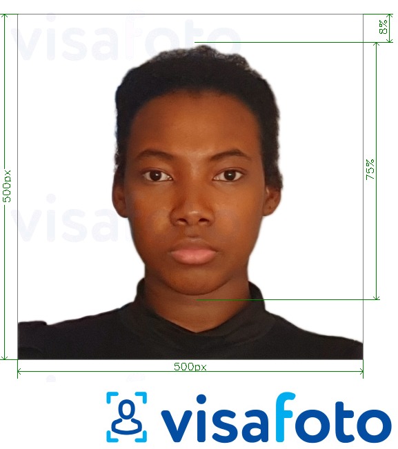 喀麦隆签证在线500x500 px 的标准尺寸照片示例