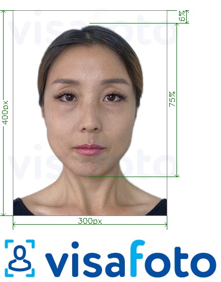 中国APEC商务旅行卡300x400像素 的标准尺寸照片示例