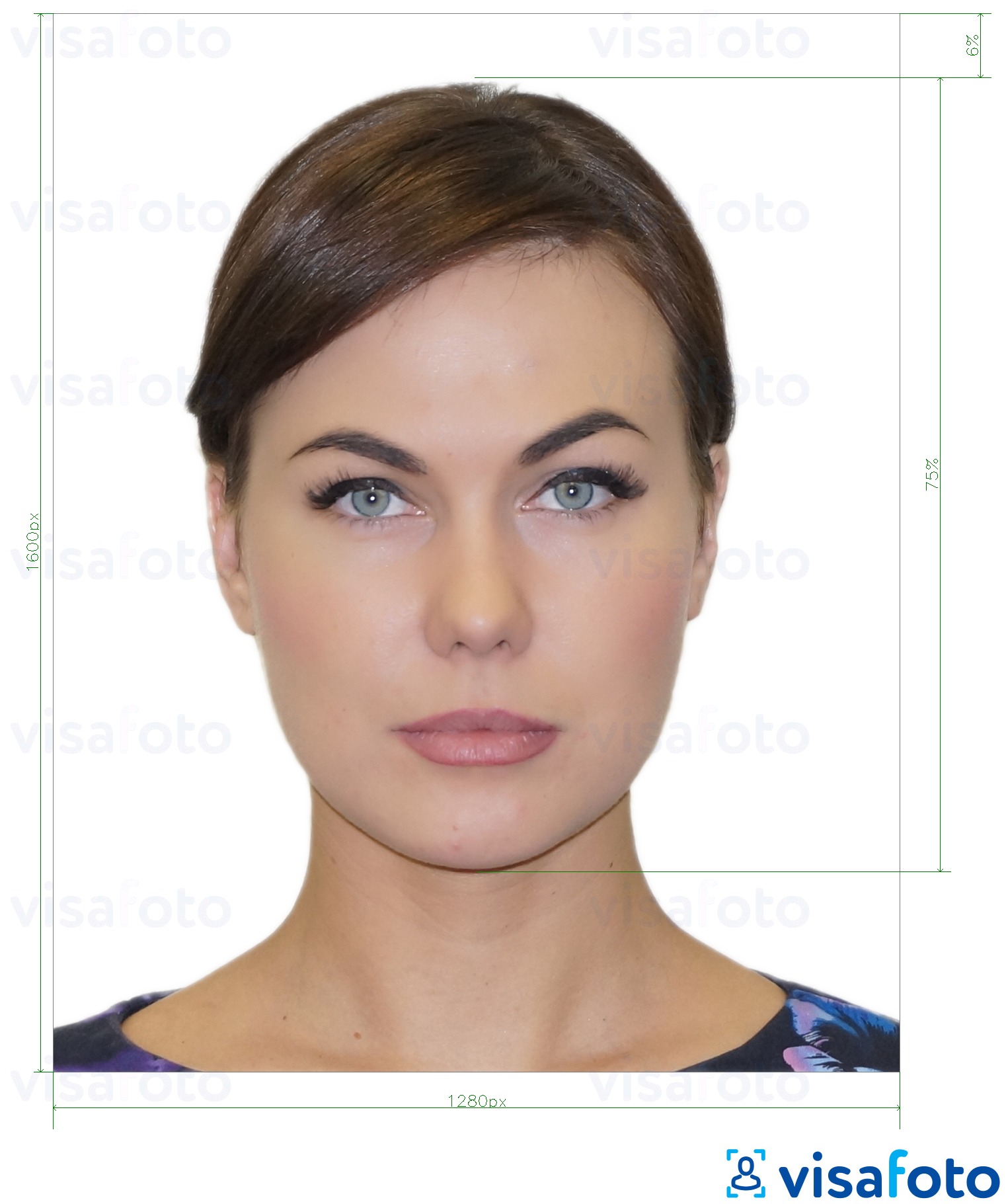 希腊驾驶执照 1280x1600 像素 的标准尺寸照片示例