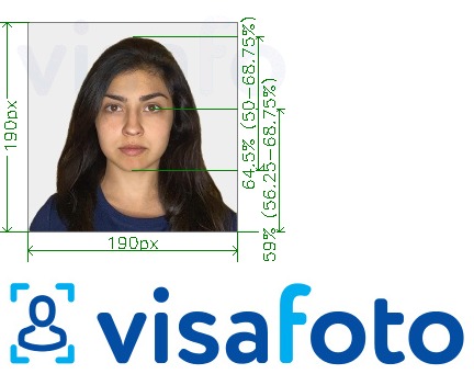 印度通过VFSglobal.com签证190x190 px 的标准尺寸照片示例