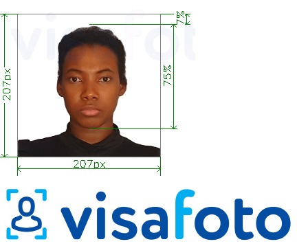 肯尼亚签证207x207像素 的标准尺寸照片示例