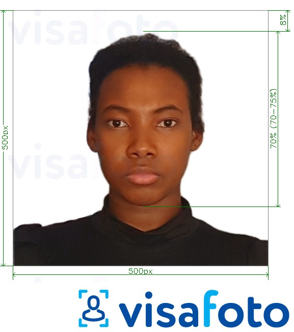 肯尼亚电子签证在线500x500像素 的标准尺寸照片示例