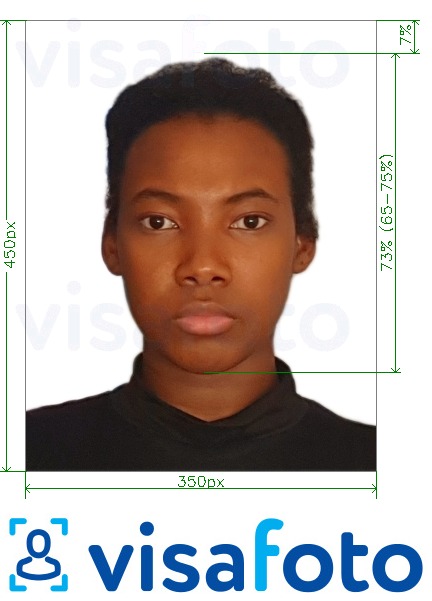 尼日利亚在线签证200-450像素 的标准尺寸照片示例