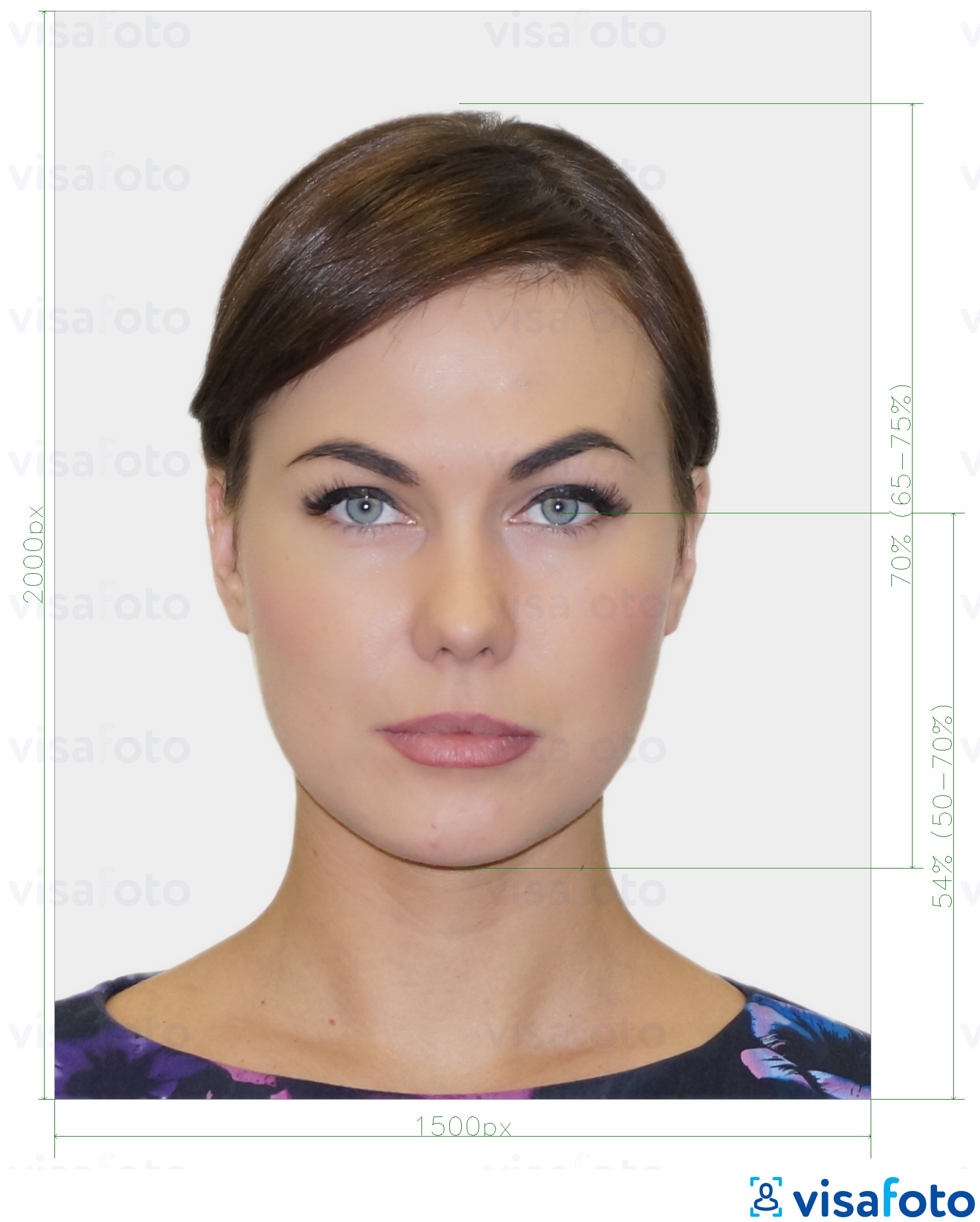 新西兰护照在线申请 900x1200 的标准尺寸照片示例