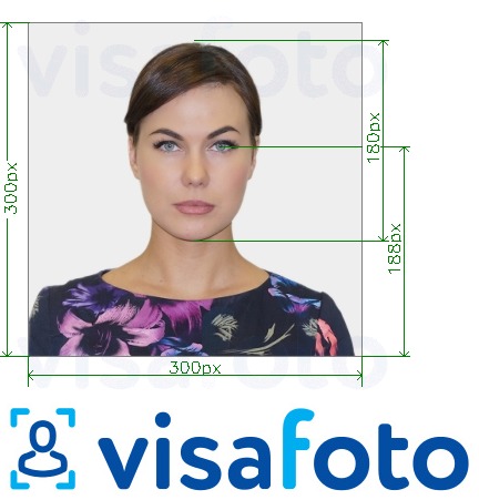 米勒斯维尔大学身份证300x300 px 的标准尺寸照片示例